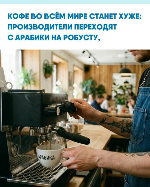 Более 70% всего кофе в мире делают из арабики - той самой, что пахнет фруктами, шоколадом и цветами.  