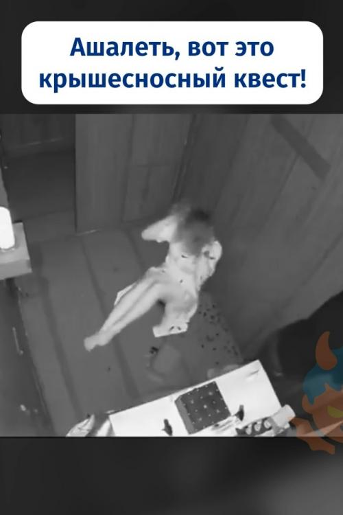 Сходили, блин, попугаться.  