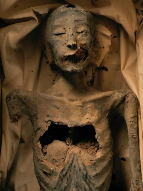 Мать тутанхамона.

Знаменитый юный царь тутанхамон был сыном фараона - еретика эхнатона.  