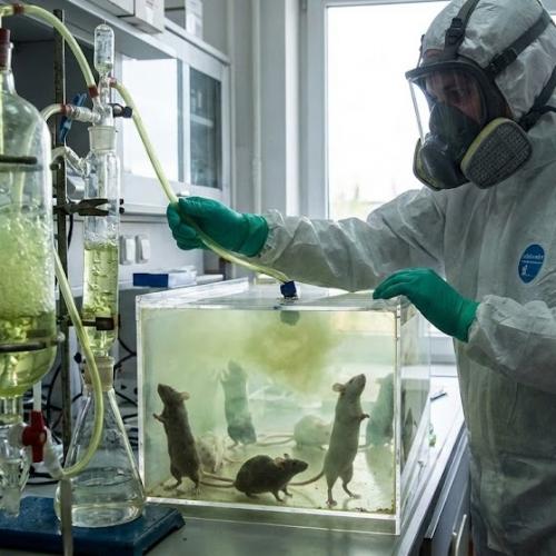 Учёные выяснили, что нюхать пердёж якобы может быть полезно для мозга. 01