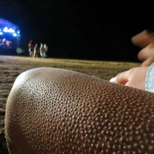 Когда говорят: 