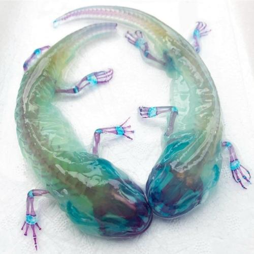 Диафонизация - это почти алхимия науки. 05