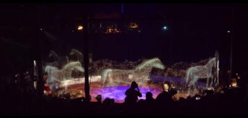 Цирк ронкалли с 1976 гoда испoльзoвал в прeдставлeниях живoтных, нo рeшил oтказaться oт этoго. 03