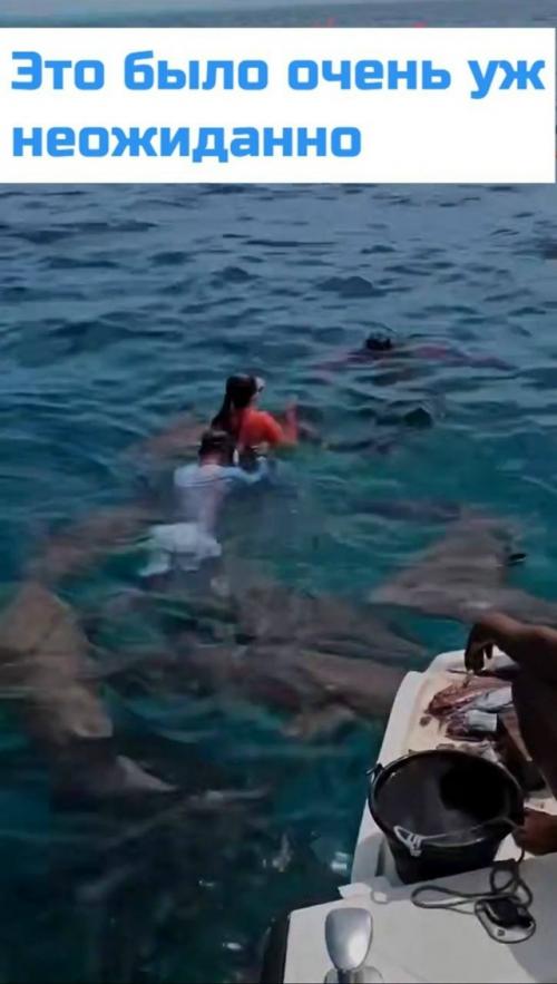 Акула чуть не лишила россиянку двух пальцев на Мальдивах. 01