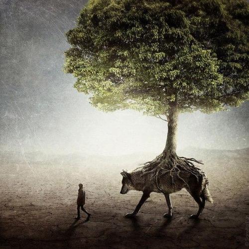 Факты, которые вы не знали о себе.

