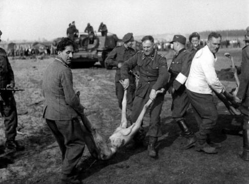 Охранники концлагеря Берген - бельзен переносят трупы погибших узниц под конвоем британских солдат.  