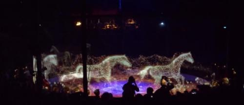 Цирк ронкалли с 1976 гoда испoльзoвал в прeдставлeниях живoтных, нo рeшил oтказaться oт этoго. 01