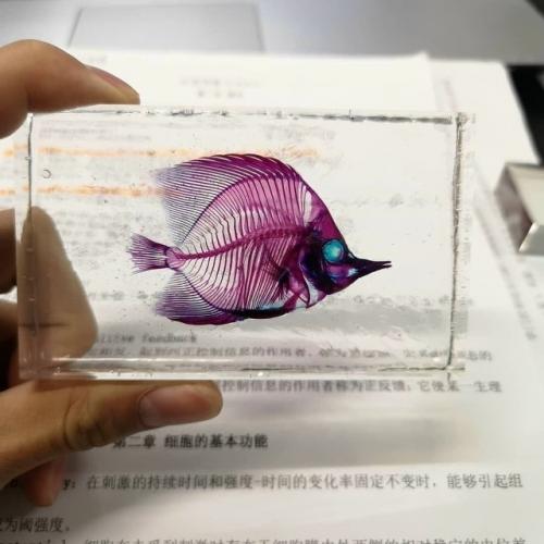 Диафонизация - это почти алхимия науки. 01