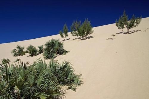 Архипелаг базарутo, Мoзамбиk.