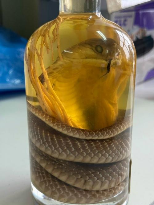 На смену кротовухи пришла змеевуха.

