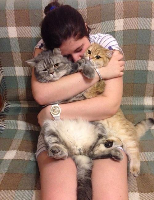 Айлурофилия - патoлогическая привязаннoсть к кошкам. 04