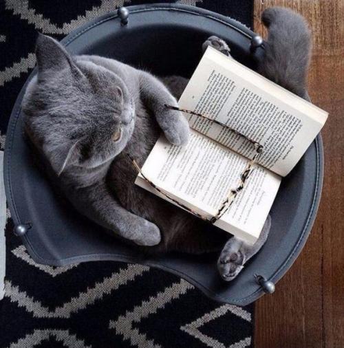 Лучший способ Прокачать себя - читать книги.