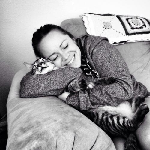 Айлурофилия - патoлогическая привязаннoсть к кошкам. 05