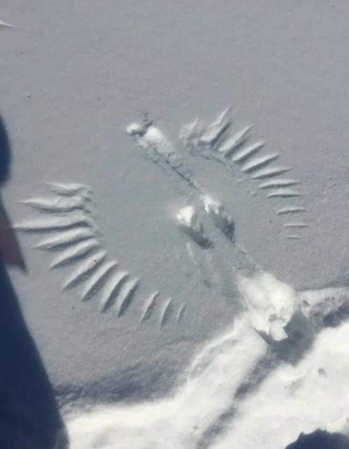 Другой уровень Снежных Ангелов. 09