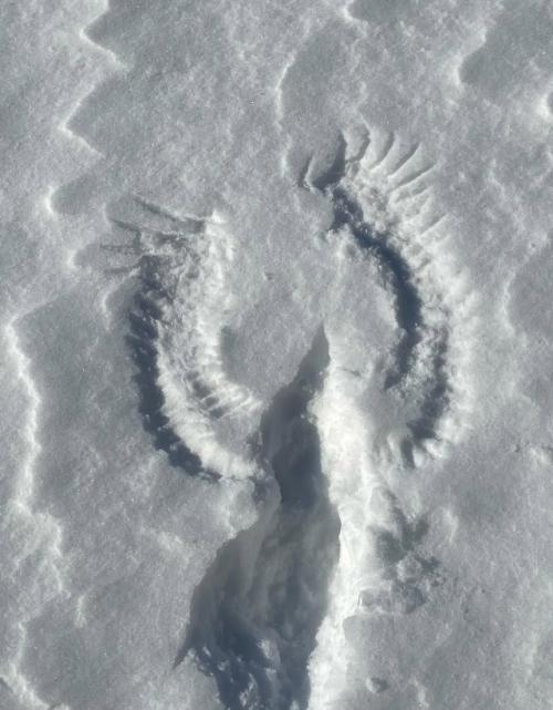 Другой уровень Снежных Ангелов. 02