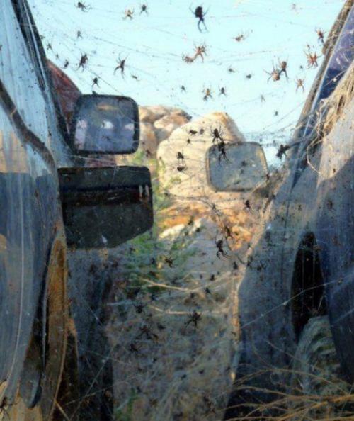 Хотите побыть в Австралии? 08