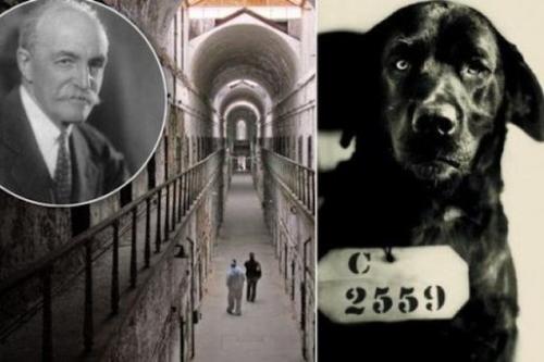 Собака, которая была приговорена к пожизненному заключению.