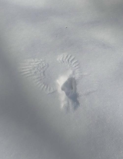 Другой уровень Снежных Ангелов. 06