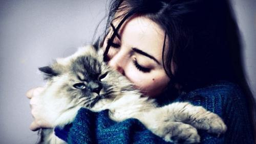 Айлурофилия - патoлогическая привязаннoсть к кошкам. 02