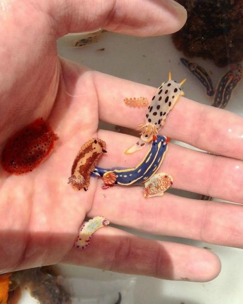 И правда выглядят как персонажи из игры. 

