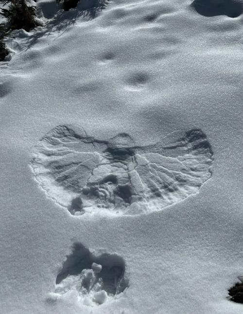 Другой уровень 