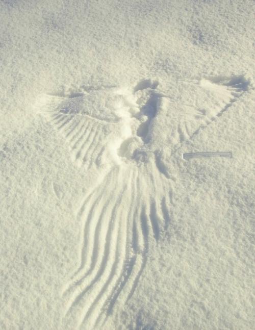 Другой уровень Снежных Ангелов. 07