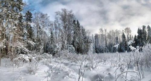 Чудная картина, какъ ты мн?