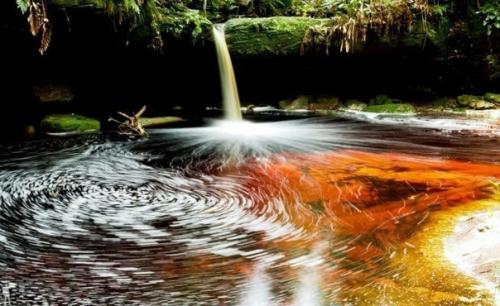 Национальный парк жау, один из крупнейших в стране, создан в 1980 году. 03