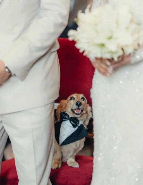 На свадьбе гонщика формулы-1 Шарля Леклерка и Александры малена Леклерк был один очень важный гость. 01