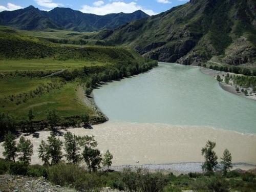 Река Катунь - одна из интереснейших рек Алтая, а также одна из основных водных артерий горного Алтая. 03