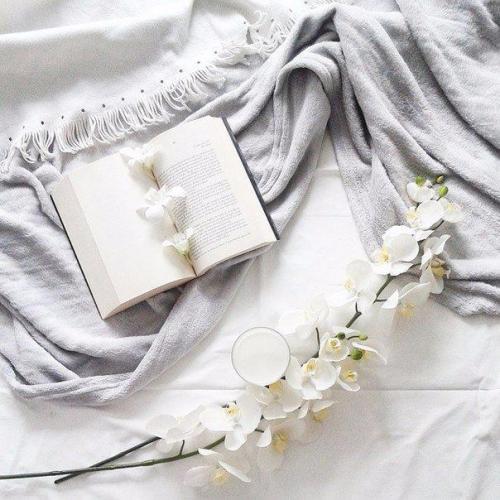 50 книг, которые стоит прочесть. 50 книг, которые стоит прочесть.