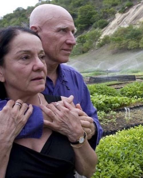 Как фотограф и его жена смогли высадить 2 миллиона деревьев и возродить уничтоженный лес. 01