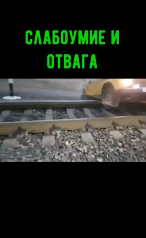 Слабоумие и отвага! 

