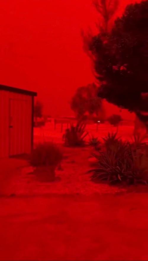 Стpaшнo, нo кpacивo: житeли Авcтpaлии зacняли aпoкaлипcиc.  