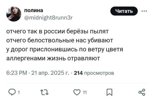 Берёзы - главные враги россиян прямо сейчас. 01