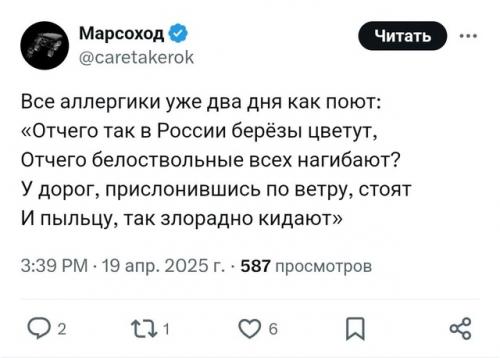 Берёзы - главные враги россиян прямо сейчас. 07