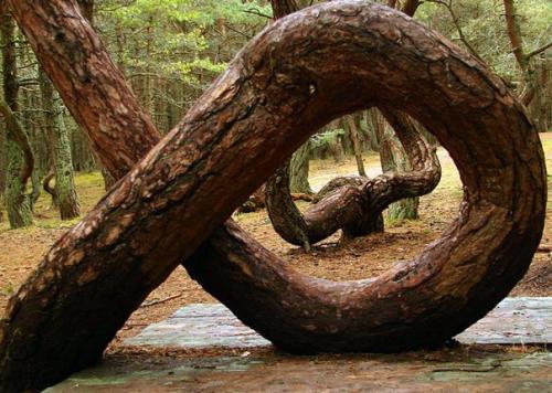 Калининград.  Бывший Кёнигсберг, некогда столица восточной пруссии, ныне янтарная столица России. 05