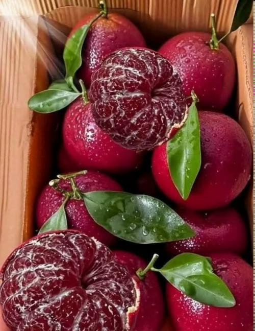 Мандарин Клементин 