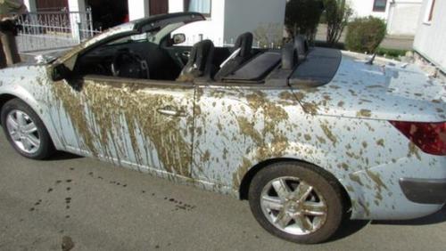 Купи кабриолет, говорили они.