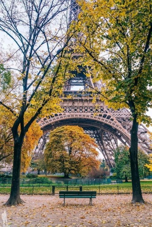 10 места в Париже, фото которых сделают вас звездой инстаграма (часть первая). 09