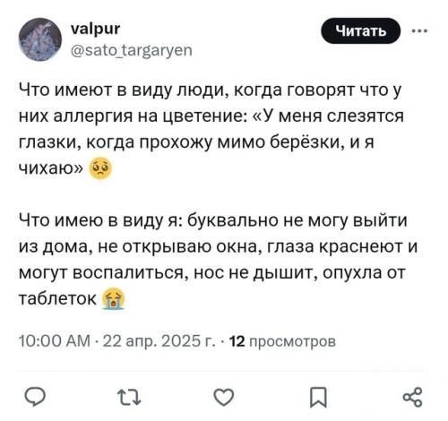 Берёзы - главные враги россиян прямо сейчас. 02