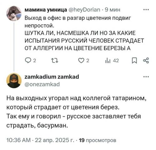 Берёзы - главные враги россиян прямо сейчас. 03