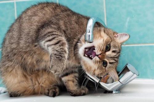 Удивительные факты об обычной воде.