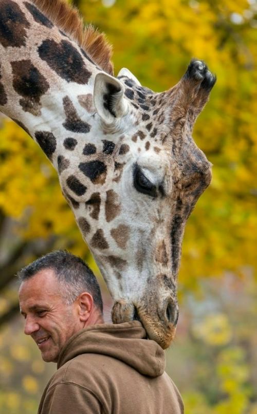 В столице северной Македонии произошел печальный инцидент, потрясший сотрудников местного зоопарка. 02