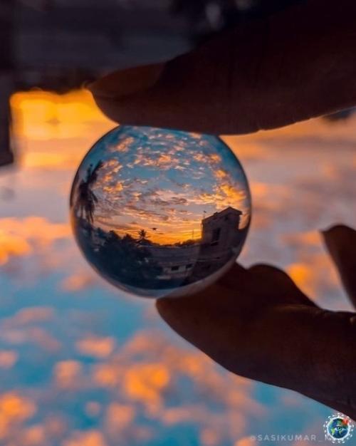 Арень макрофотографии на cвой cмартфон cнимает. 04