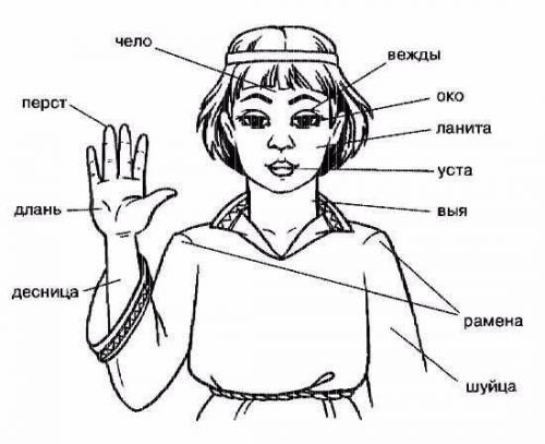 Словарь устаревших слов. 

