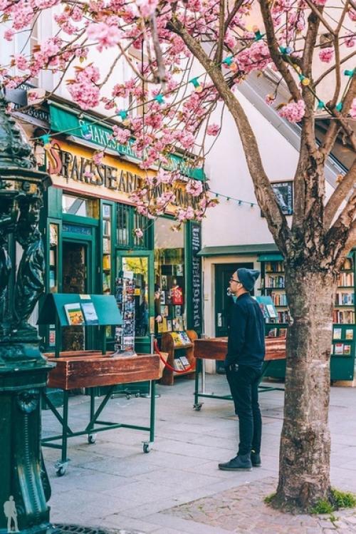 10 места в Париже, фото которых сделают вас звездой инстаграма (часть первая). 03