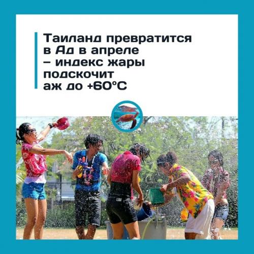 Адcкaя жapa.  Тaилaнд o +60\xB0C в тeни пpeдупpeждaeт.

