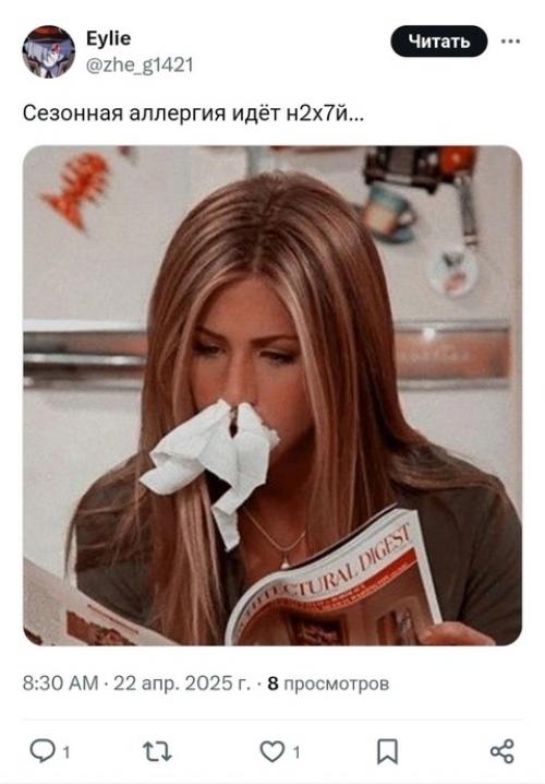 Берёзы - главные враги россиян прямо сейчас. 04