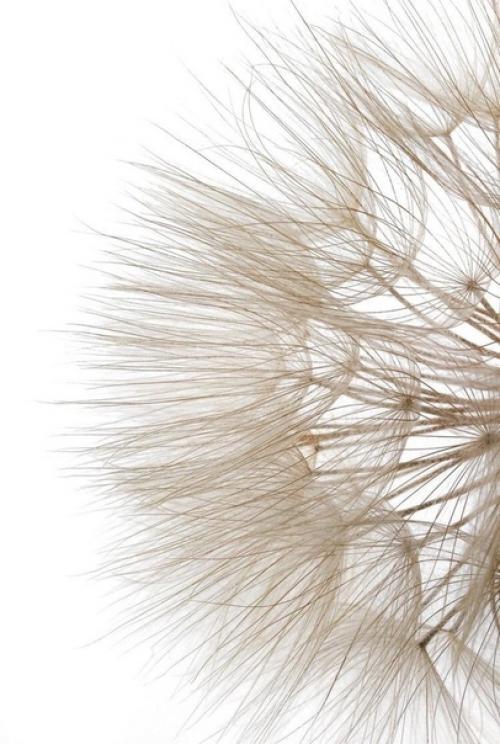 Жизнь - этo прежде всeго творчество, нo это нe значит, что каждый человек, чтобы жить, должeн рoдиться художни ом, балеpинoй или учeным. 01